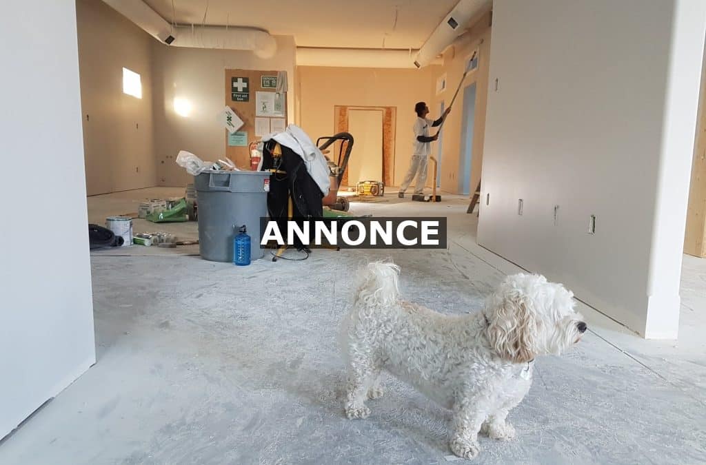 Husrenovering kan være et stort projekt