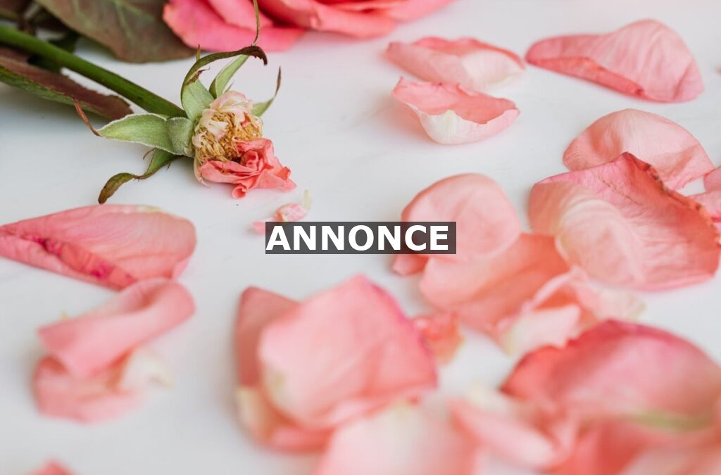 Vigtige overvejelser du bør gøre dig omkring skabelse af en billig begravelse